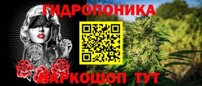кокс Пугачёв